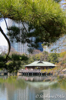 Parc de Sumida